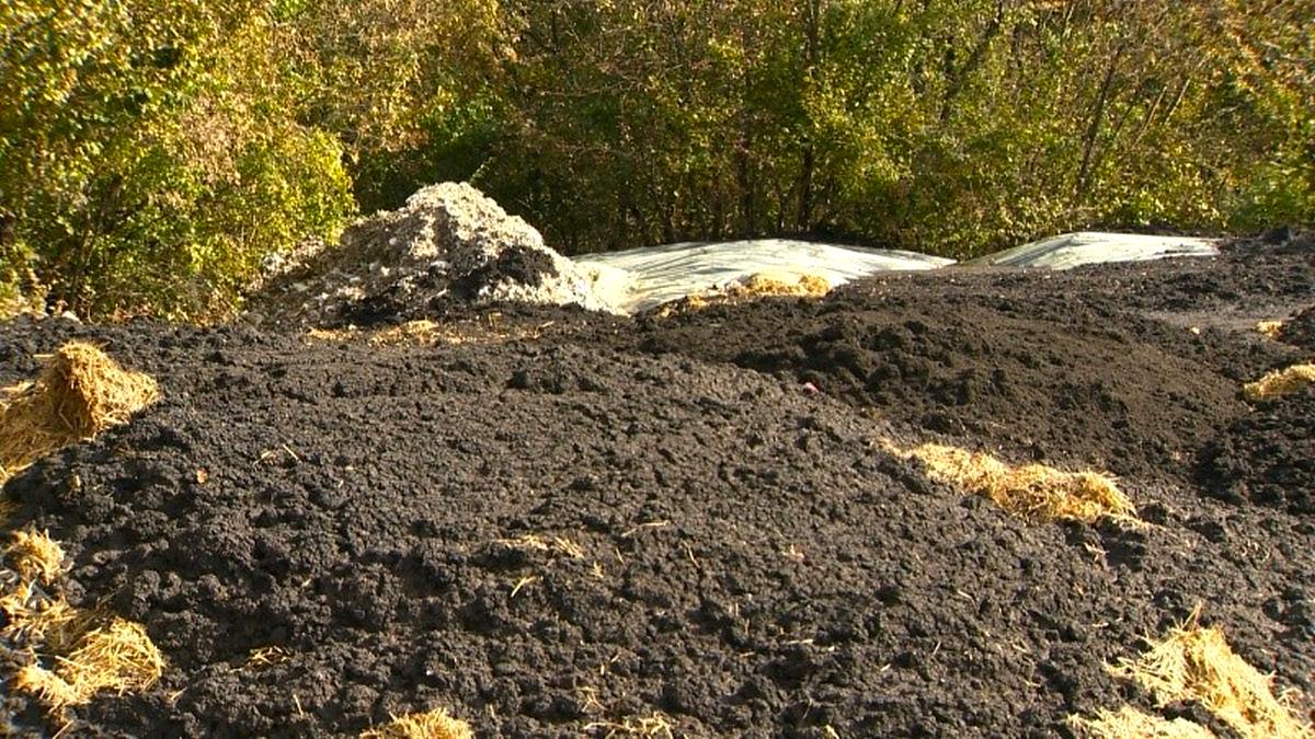 Pri Rodiku je bilo odloženo 215 ton komunalnega blata. Foto: TV Slovenija