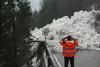 2000 m3 snega, pomešanega s kamenjem in drevjem, zasulo cesto pri vasi Soča
