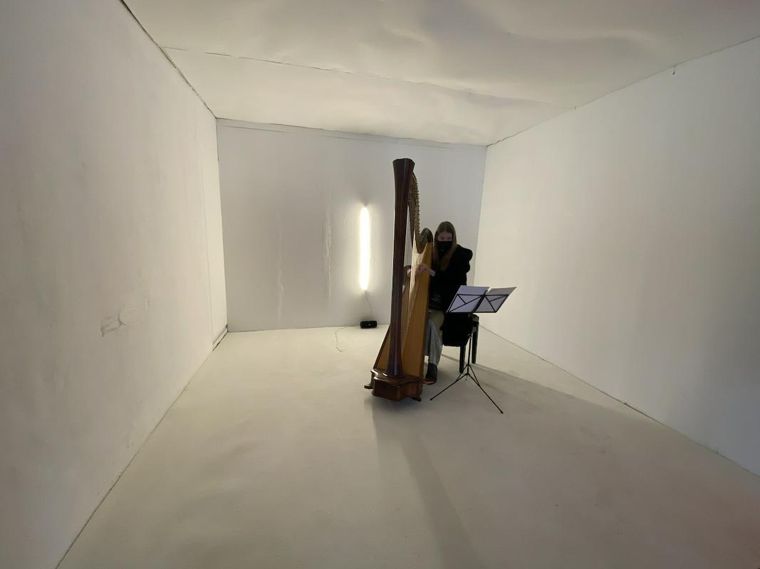 Avtorica se je odločila, da se bo intimnega procesa ponovnega priučevanja igranja harfe lotila v galerijskem prostoru. Foto: Nadina Štefančič