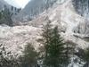 Strokovnjaki za snežne plazove preučujejo stanje na Bovškem