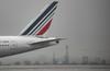 Pandemija in okolje sta ustavila širitev pariškega letališča