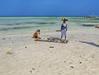 Na Zanzibarju zaradi uživanja želvjega mesa umrlo osem otrok 