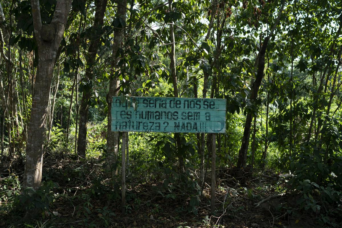 Napis sredi amazonskega pragozda: 