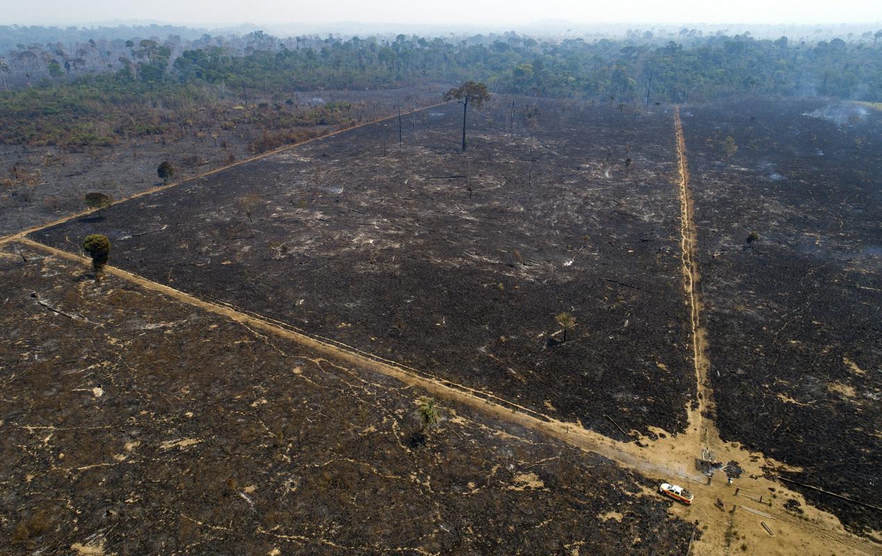 Požgane parcele sredi amazonskega pragozda. Foto: AP