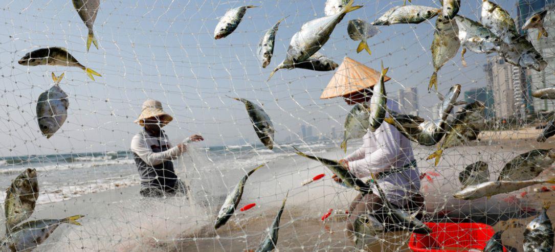 Seaspiracy ribolov jemlje kot eno homogeno celoto, brez razlik med komercialnim ribolovom, ki dejansko povzroča ogromno škode, in prioabalnim, ki pomeni vir preživetja za številne obalne skupnosti Azije, Latinske Amerike in Afrike. Foto: Reuters