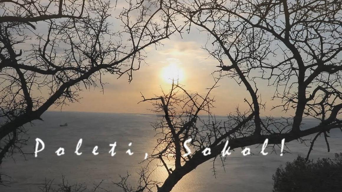 Poleti Sokol je obenem tudi himna nabrežinskega društva Sokol. Foto: Youtube