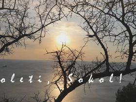 Poleti, sokol!