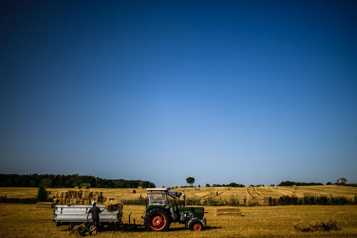 Velike in zelo velike kmetije v ZDA, ki jih je okoli 200.000, pridelajo 63 odstotkov vseh kmetijskih pridelkov v državi, kjer pa je tudi več kot 1,9 milijona manjših, družinskih kmetij. Okoli 70 odstotkov kmetijskih površin naj bi v prihodnjih 20 letih zamenjalo lastništvo. Foto: Pixabay