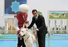 Turkmenistan želi zaščititi svojo avtohtono pasmo psa - alabaj iz države le z dovolilnico