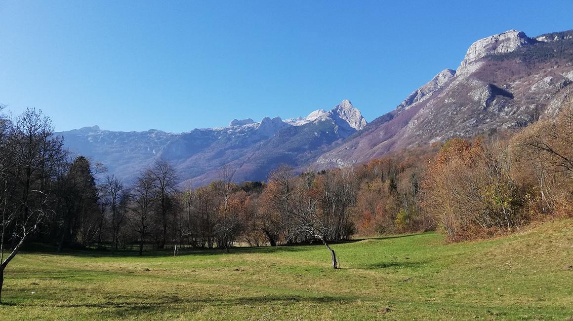 Lokacija, kjer bo stal dom starejših, za katero so pred kratkim pridobili gradbeno dovoljenje. Foto: Radio Koper/Mariša Bizjak