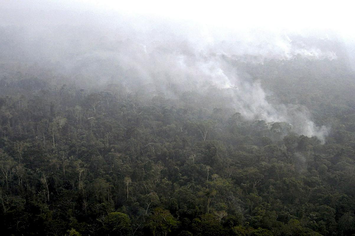 Raziskava kaže, da se človeštvo očitno ne more več zanašati na svoj največji tropski gozd, da bo posrkal njegove škodljive izpuste CO2-ja. Foto: EPA