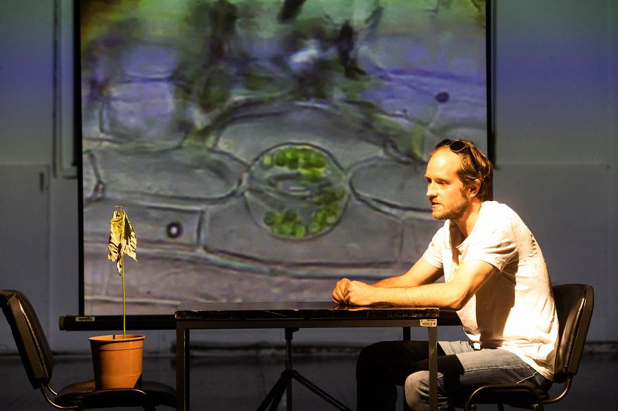 V TRANS-Plantu avokadu govori slovenski režiser Luka Martin Škof v vlogi performerja. Projekt raziskuje človeški odnos do rastlin in se sprašuje o bistvu človekove narave. Foto: Nada Žgank