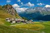 Bo Švica kot prva prešla na le ekološko kmetovanje?