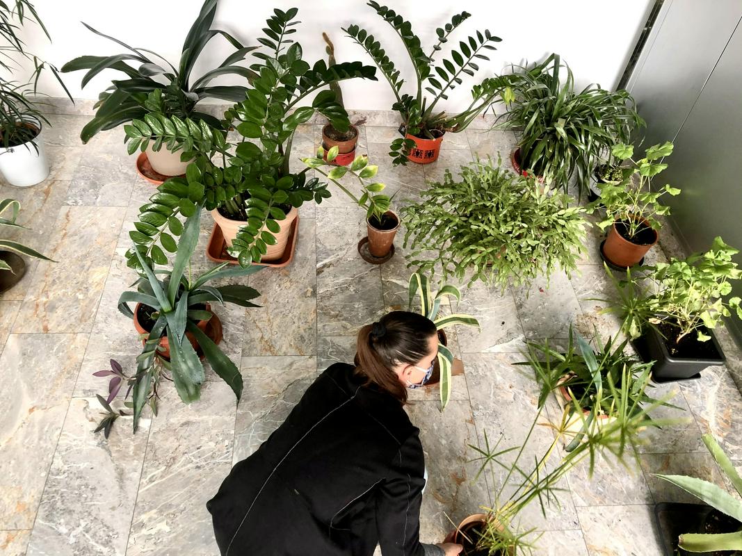 Ustvarjalka Maja Poljanec Nemec skrbi za rastline v SNG-ju Nova Gorica. Foto: MMC RTV SLO/Ivana Zajc