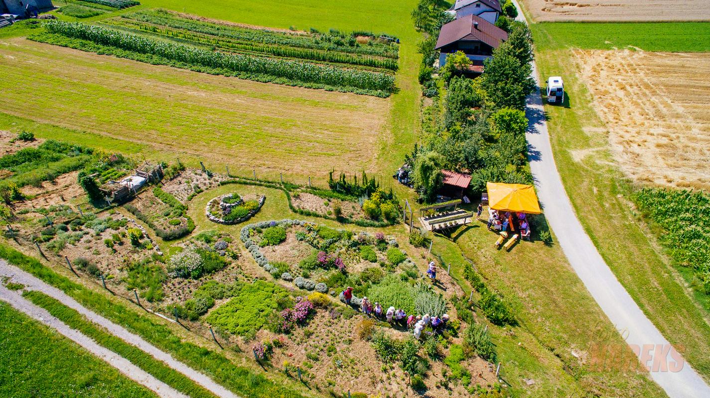 Kaj pomeni, če slišimo, da je nekdo šel na zeleni prehod?