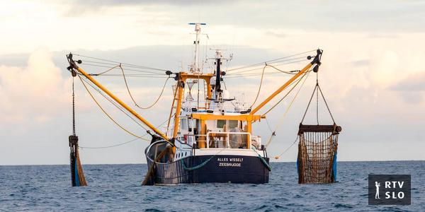 La France a reporté les mesures contre le Royaume-Uni concernant les licences de pêche