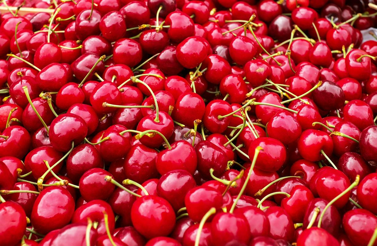 Rdečemu sadežu se Brici po novem poklanjajo s Festivalom briške češnje. Foto: Dobro jutro