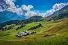 Švicarji na referendumu zavrnili prepoved sintetičnih pesticidov