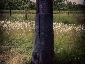 Marjeta Medved, Rojenica, 2017, les jabolka, 170 cm, premer cca 30 cm. Foto: ZDSLU