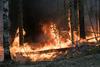 Dim gozdnih požarov v Sibiriji zaneslo do Aljaske