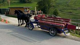 Po okolici Rakičana vozi e-kočija, ki konjem prihrani utrujajočo vleko