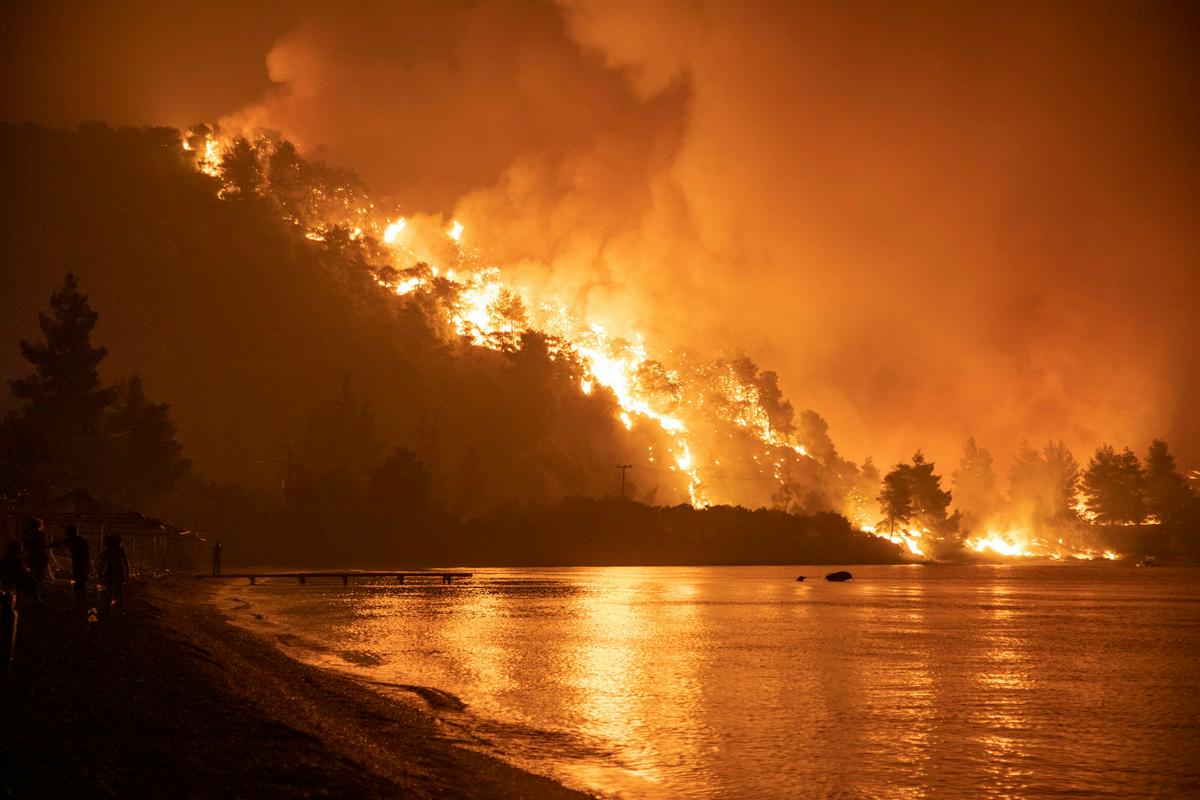Požar. Foto: Reuters