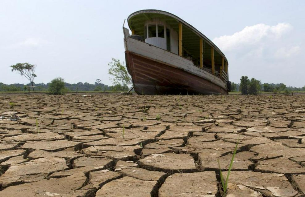 Vedno večji problem predstavljajo suše. Foto: Reuters