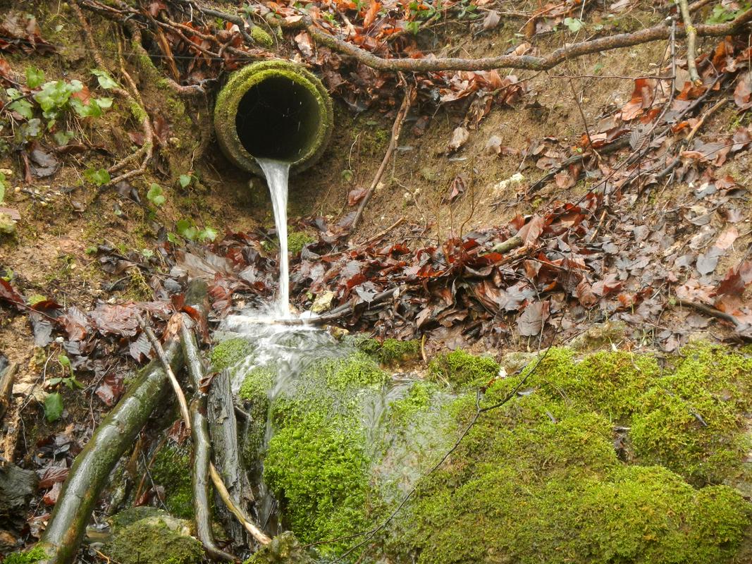 V slovenski kataster voda je vključenih 7000 izvirov. Foto: BoBo