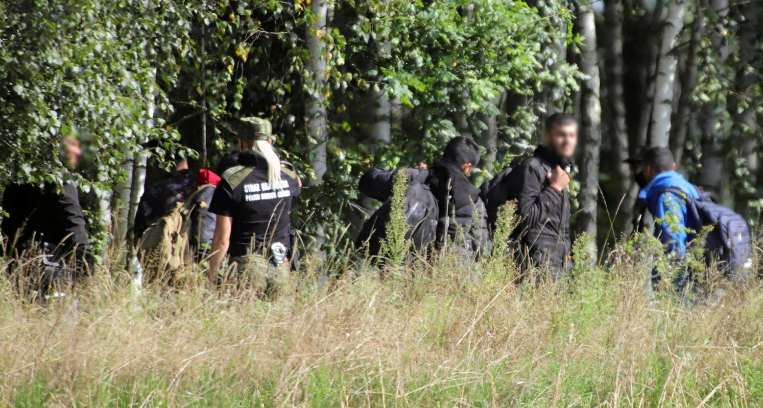 Prebežniki na meji med Poljsko in Belorusijo, ki jih legitimira poljska policija. Foto: EPA