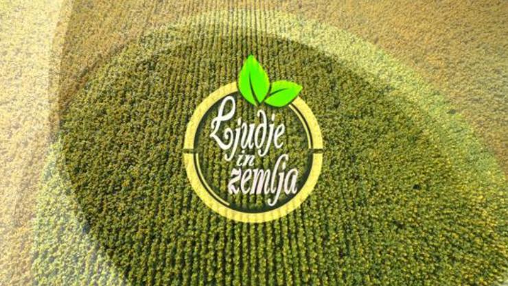 Polje v odtenkih od zelene do zlato rjave barve. V osrednjem zelenem delu je napis Ljudje in zemlja. Foto: TV Slovenija