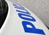 V Ljubljani so v soboto na shodu pretepli policista in poškodovali policijski vozili
