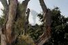 Ognjenik na otoku La Palma po kratkem premoru znova bruha 