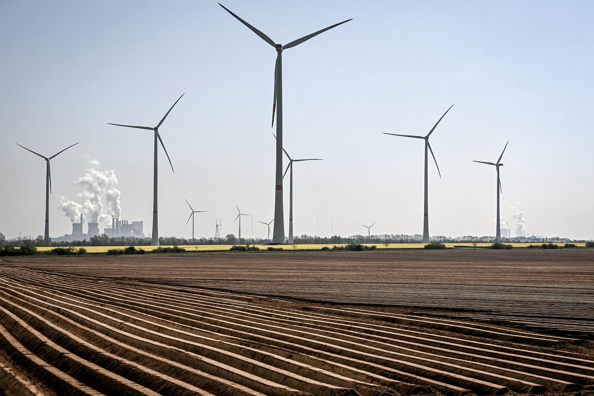 Zaradi zmanjšane hitrosti vetra je v EU-ju letos proizvedene manj vetrne energije. Foto: EPA