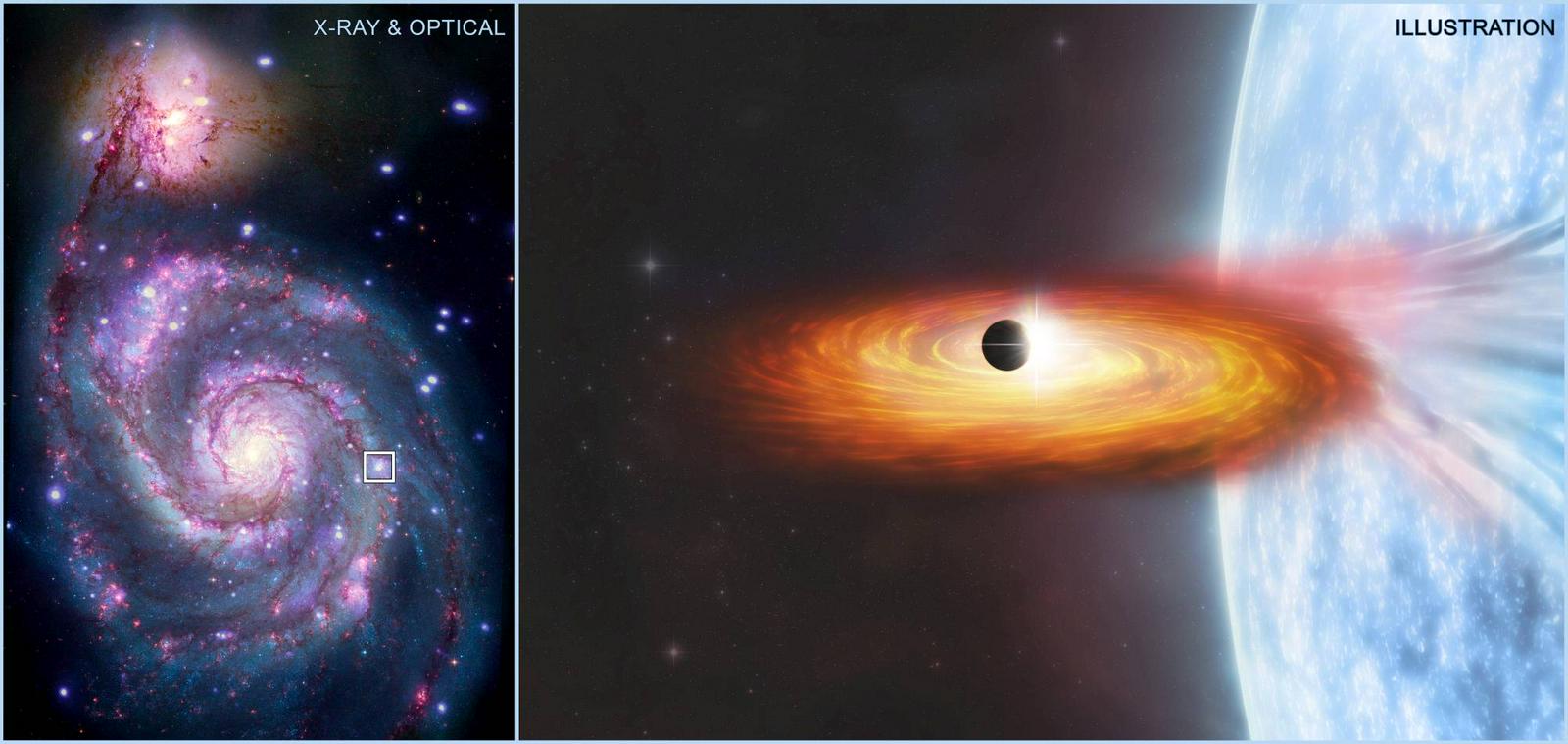 Levo osvetje M51. Desno grafična ponazoritev sistema M51-ULS-1. Izjemno gosta nevtronska zvezda ali pa kar črna luknja leti okoli precej večje, zato pa precej redkejše zvezde in ji odvzema material. Ta se vrtinči, močno segreva in posledično sveti v rentgenski svetlobi. Nekaj je prišlo vmes in svetlobo zastrlo. Kaj? Foto: NASA/CXC/SAO/R. DiStefano, et al.