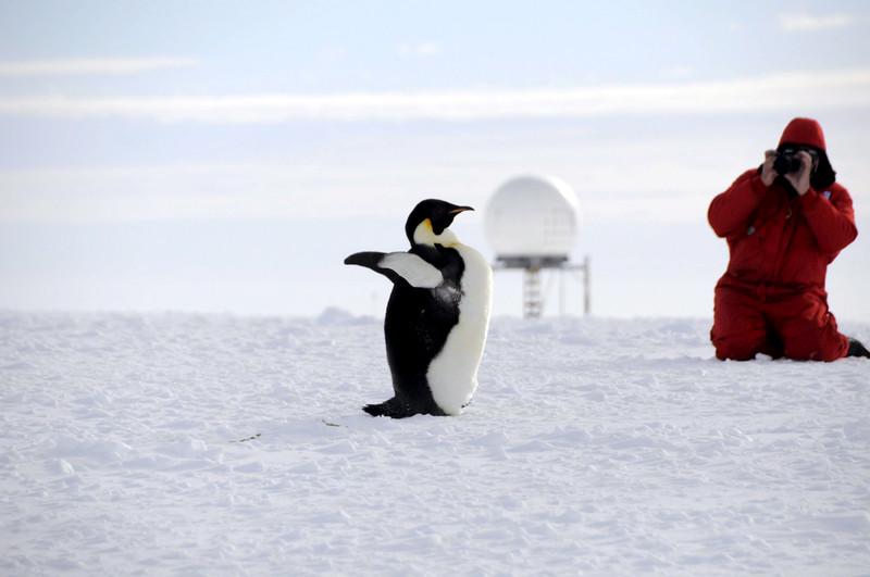 Južni in severni pol Zemlje podnebne spremembe najbolj občutita. Foto: EPA