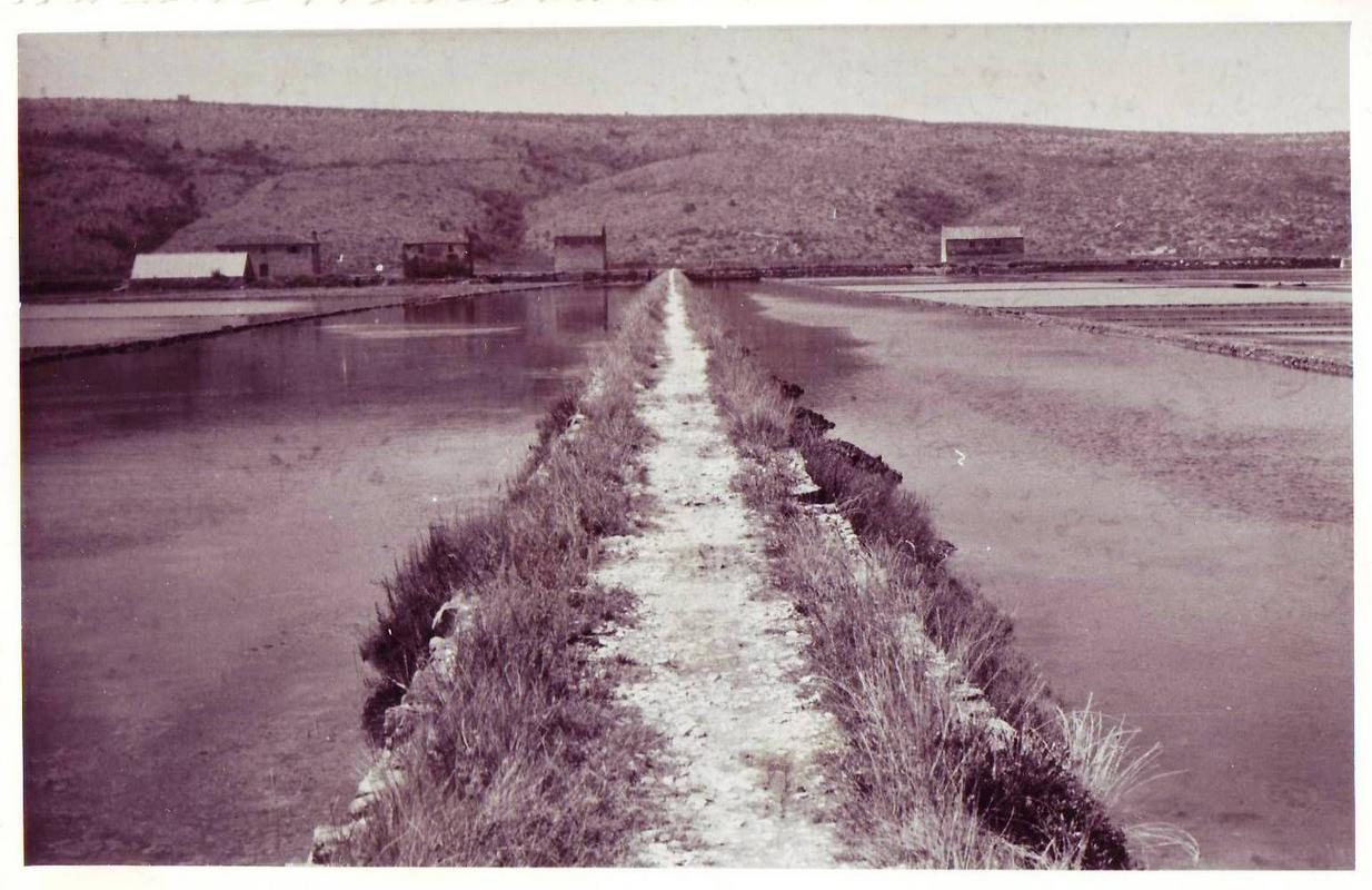 Soline Fontanigge, visoke soline – kanal Pichetto. Fotografija je nastal med letoma 1960 in 1962. Foto: Josip Rošival, Arhiv Pomorskega muzeja Sergej Mašera Piran