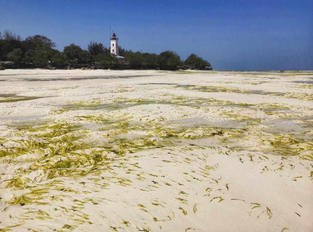 Vse več malarije pri povratnikih iz tropskih območij