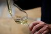 Povezovanje štajerskih vinarjev v Vinorodno Štajersko