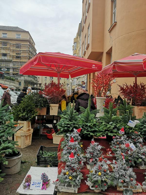 Še zadnji božični nakupi na tržnici Dolac v Zagrebu. Foto: MMC RTV SLO/Kaja Sajovic
