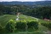Slovenska vina tudi temelj butičnih turističnih doživetij
