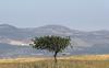 Izrael bo podvojil število judovskih naseljencev na Golanski planoti