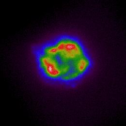 Dejanski IXPE-jev posnetek. Barve ponazarjajo svetlost rentgenske svetlobe. Posnetek je nastajal od 11. do 18. januarja. Foto: NASA/CXC/SAO/IXPE