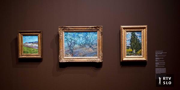 Les oliveraies de Van Gogh à nouveau réunies après 130 ans