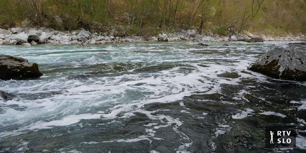 Après la pollution, la Soča sera surveillée et les habitants agités prélèveront également des échantillons d’eau