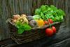 Več rastlinske in manj predelane hrane v prid zdravju in okolju 