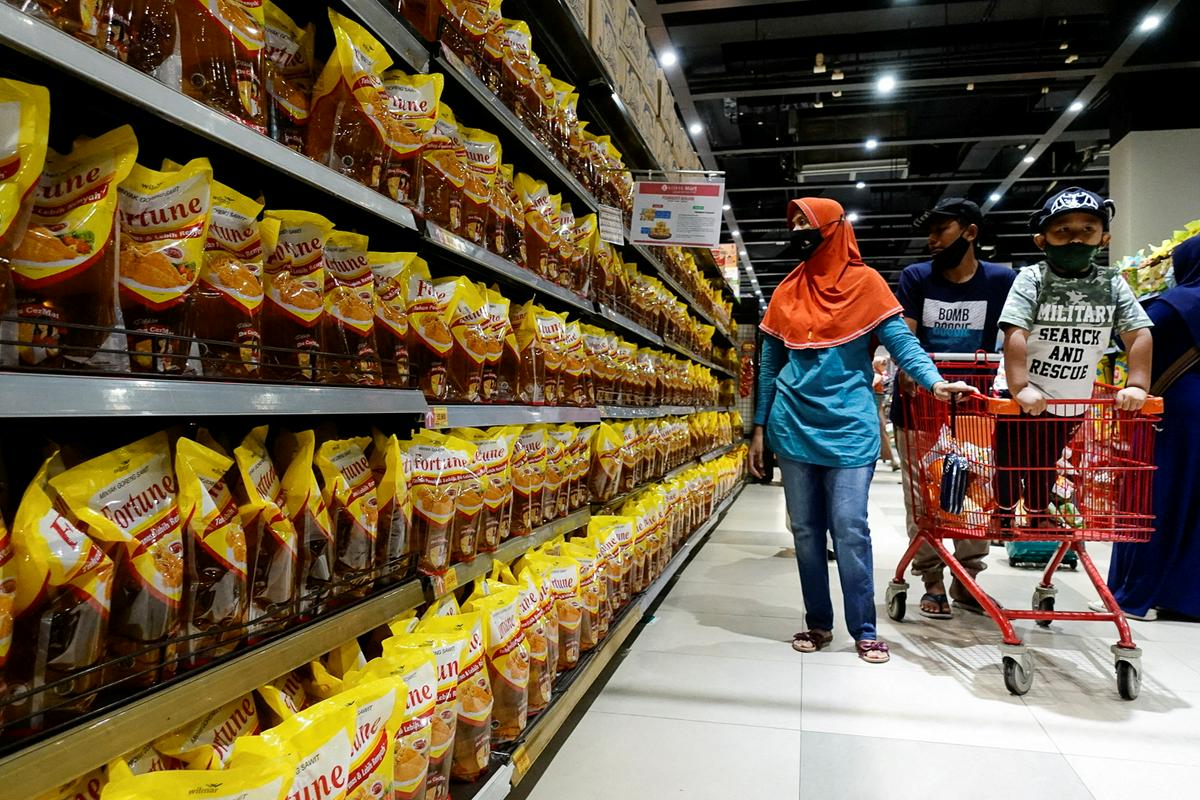 Cena palmovega olja je tudi v Indoneziji močno poskočila. Foto: Reuters