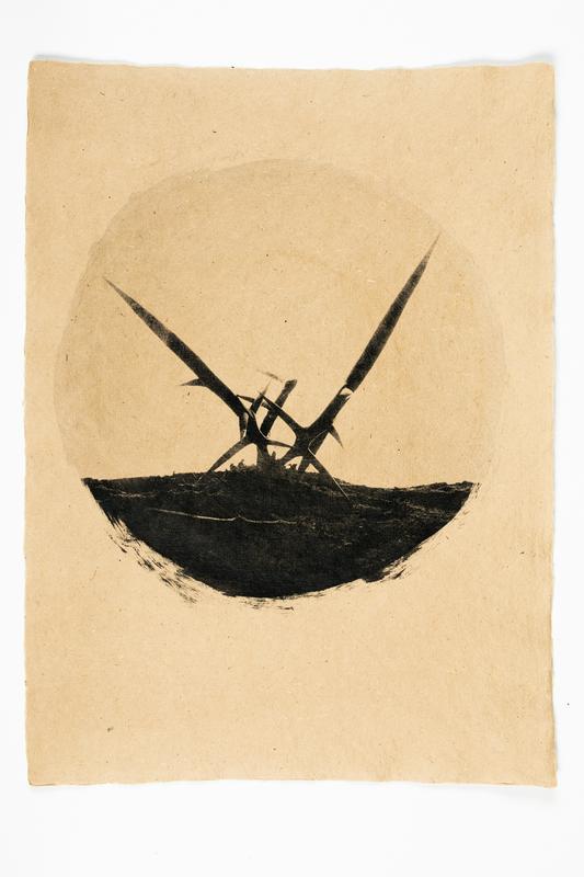 Andrej Lamut, Gleditsia Triacanthos I, Invasive Alien Species, 2021, emulzija na ročno narejen papir iz japonskega dresnika, 41 x 30 cm. Foto: Galerija Fotografija