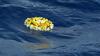 Lani na morski poti v Evropo umrlo več kot 3000 prebežnikov