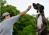 Zevs iz Teksasa je najvišji pes na svetu