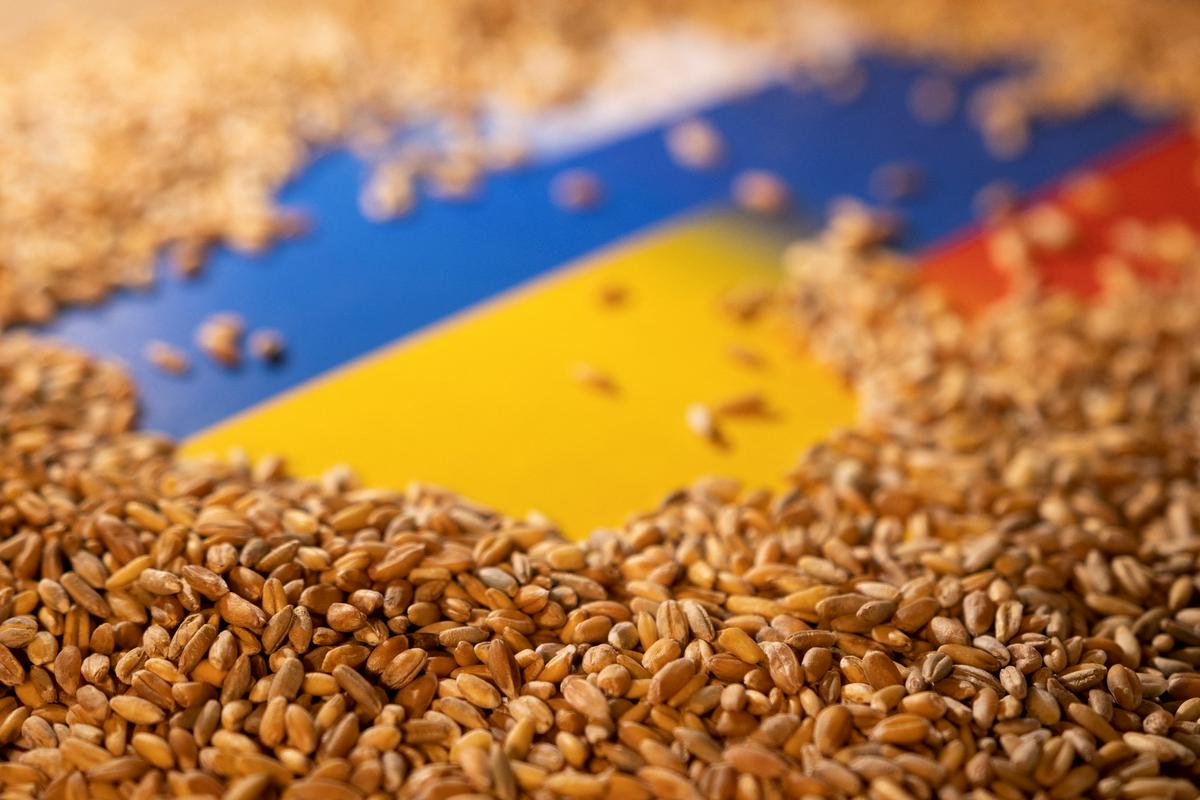 V ukrajinskih skladiščih je 25 milijonov ton žita, ki pa ne more na ladje. Foto: Reuters
